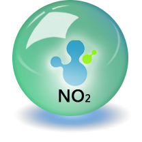 二氧化氮标准气（NO2）
